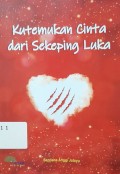 Kutemukan Cinta Dari Sekeping Luka
